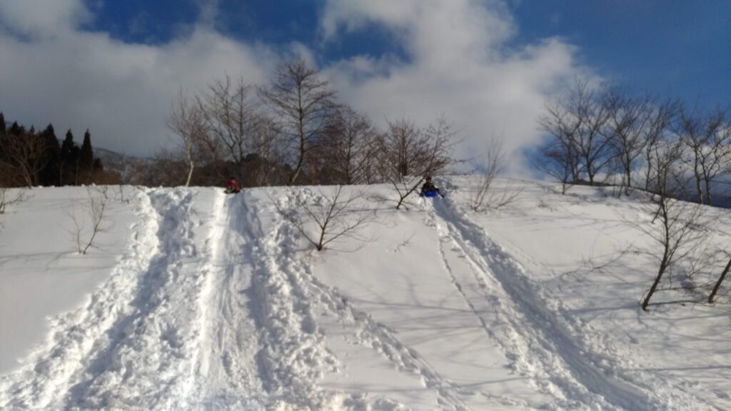 そり遊びが出来る氷ノ山、響の森