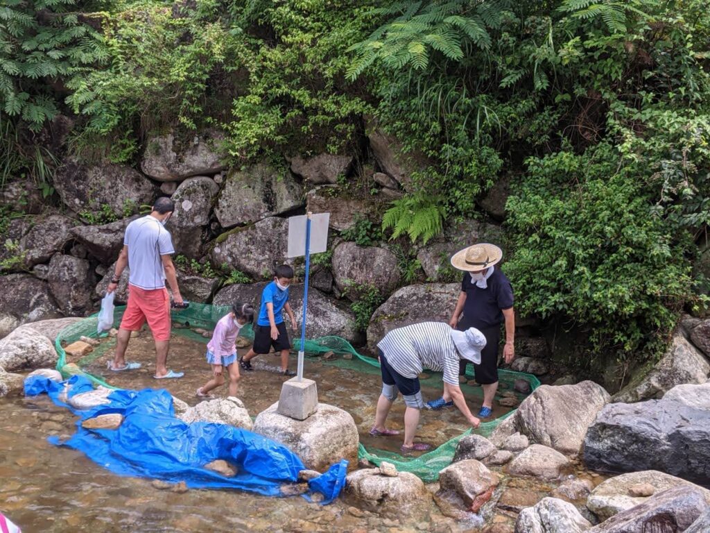 みんなであまごつかみ取り