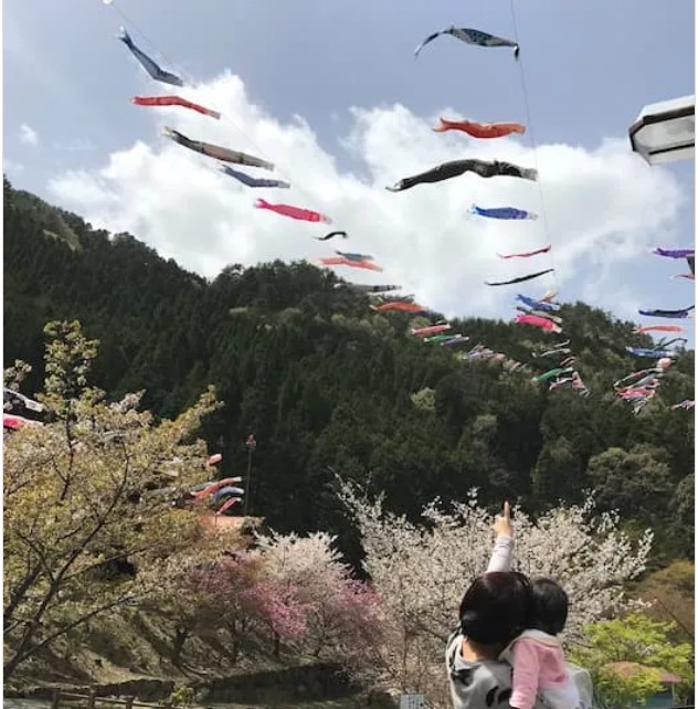 こいのぼり大空遊泳